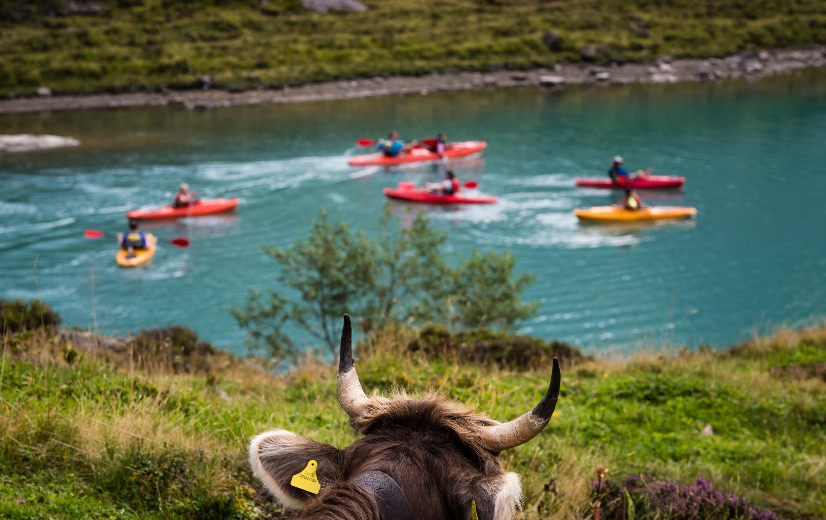 Kayak seilpark engelberg 04